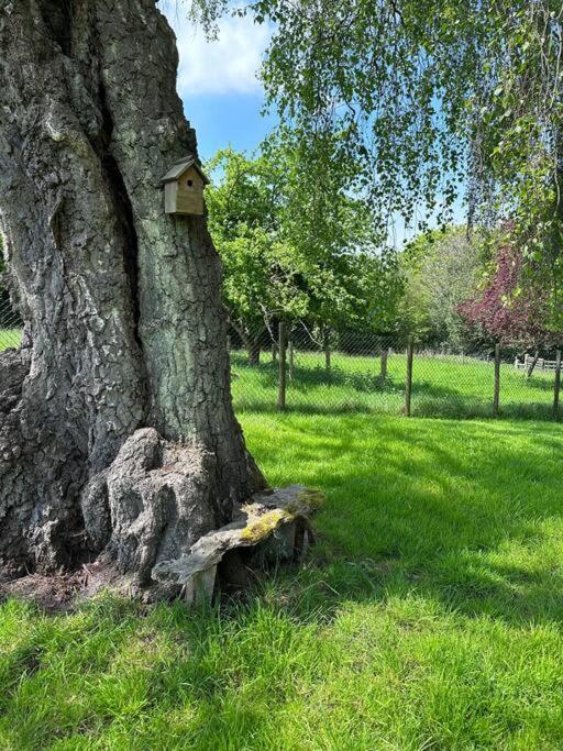 Beautiful 2 Bed Oast - 15 Acre Farm - Tunbridge Wells Royal Tunbridge Wells Exterior foto